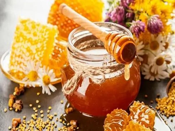 تصویر 1 از خرید و قیمت عسل طبیعی کوهستان + فروش عمده